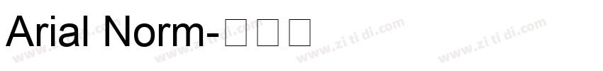 Arial Norm字体转换